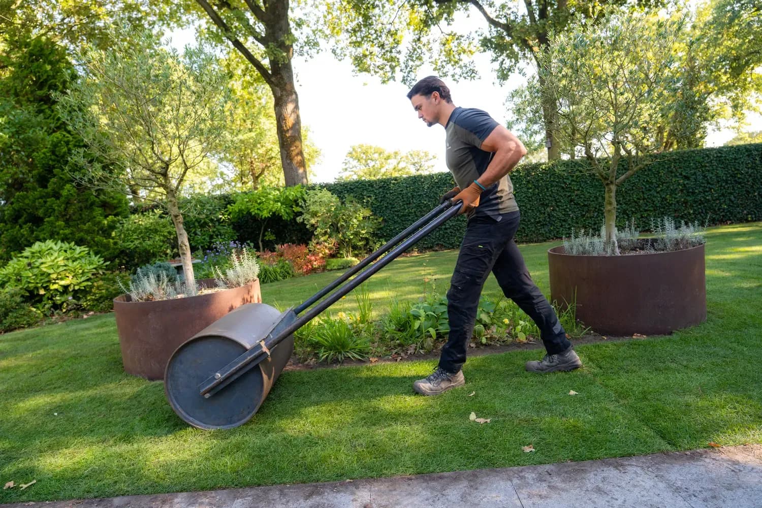Gazon walsen