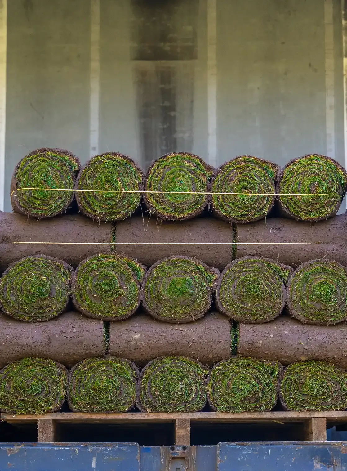 tip top graszoden - High quality turf
