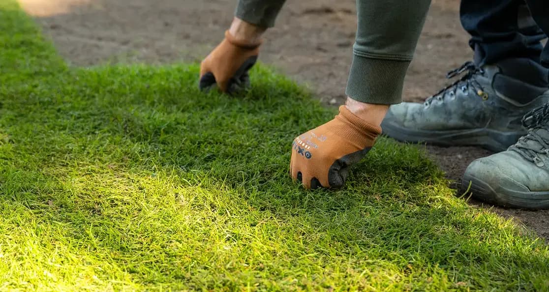 tip top graszoden - laying-turf